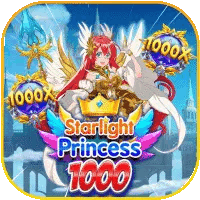 Princess 1000